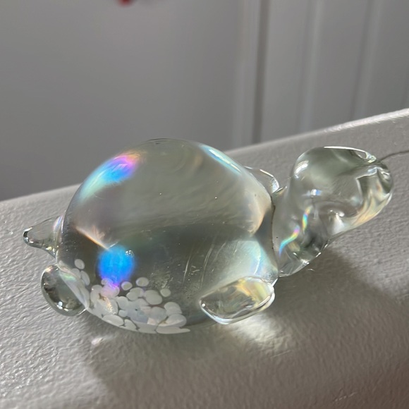 Turtle - Picture 5 of 5